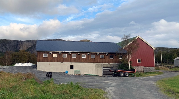 Ammekufjøs hos Klungen / Melland på Aure